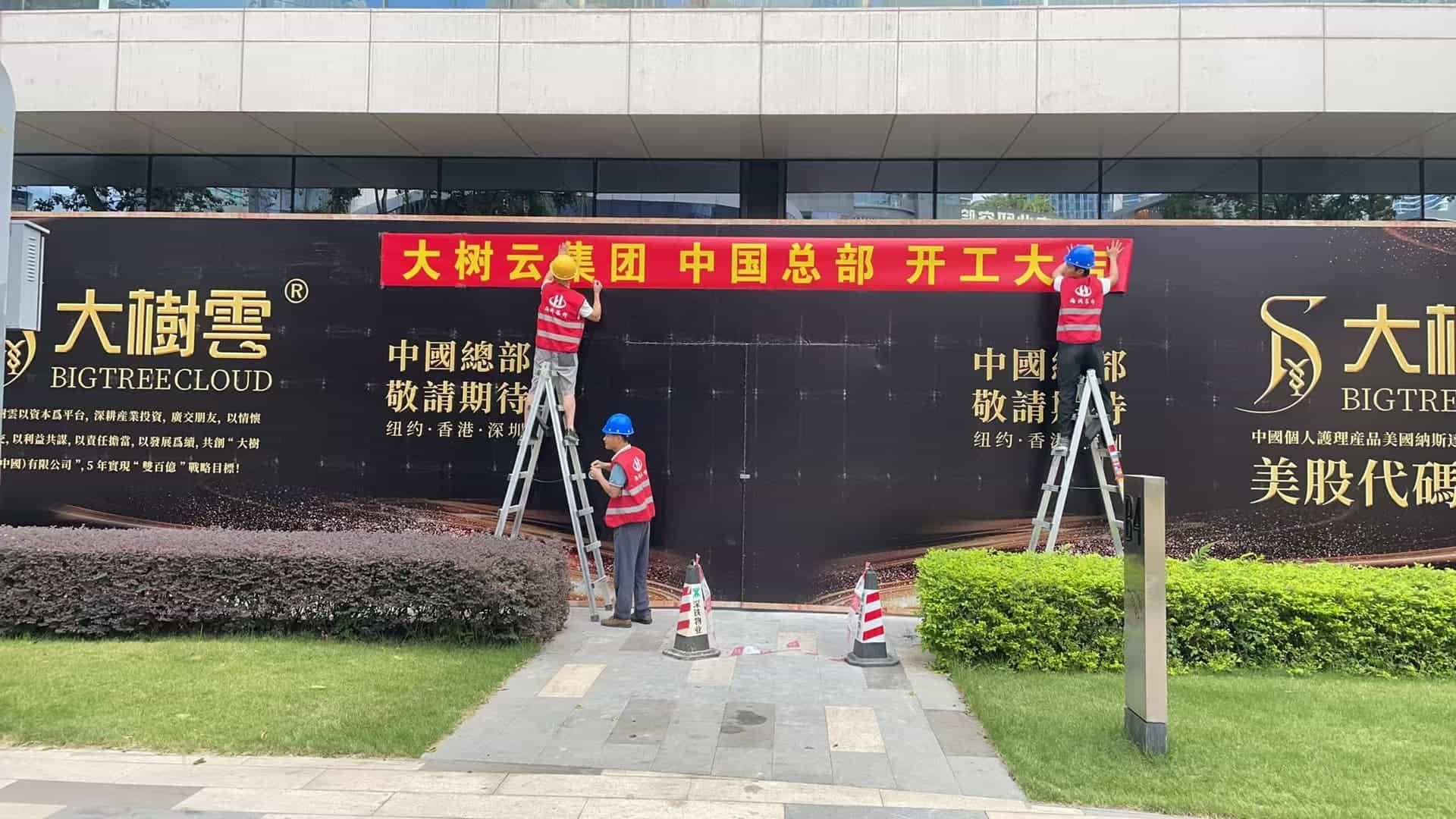 大树云集团中国总部公司